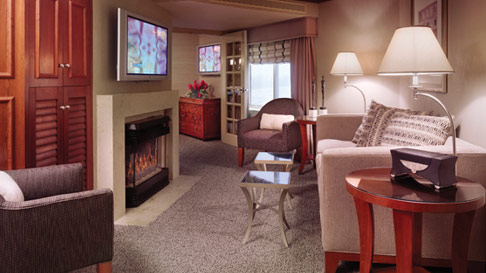 Octagon Suite living area & fireplace